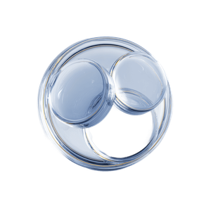 OnchainExpenses logo